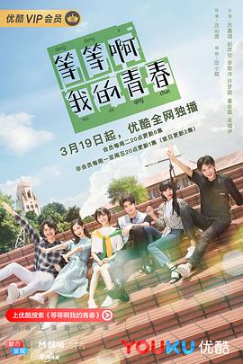 琉璃电视剧黑蚂蚁影院影视海报