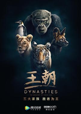 长征电影完整版影视海报
